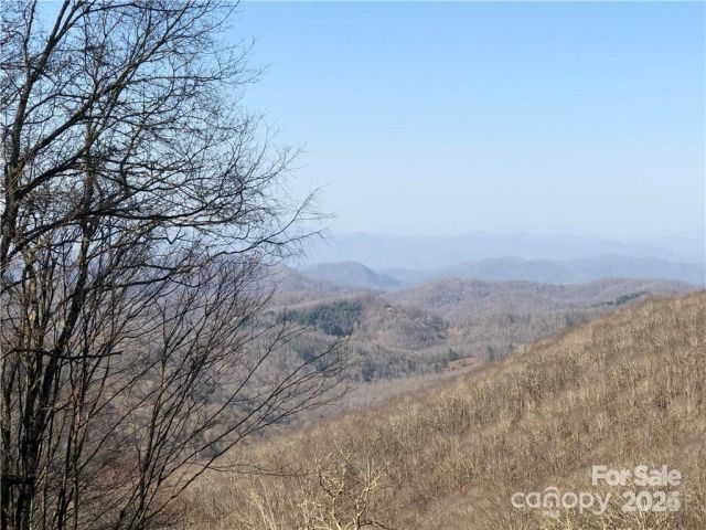 285 Granny Lewis Lane