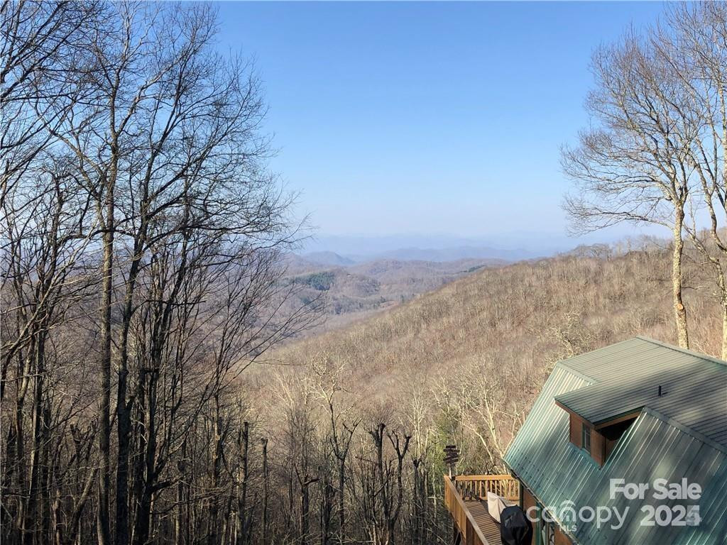 285 Granny Lewis Lane - Photo 2