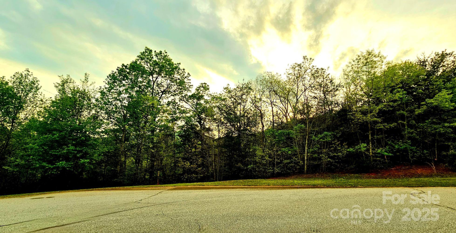 Lot 59 Bear Cliff Way - Photo 2