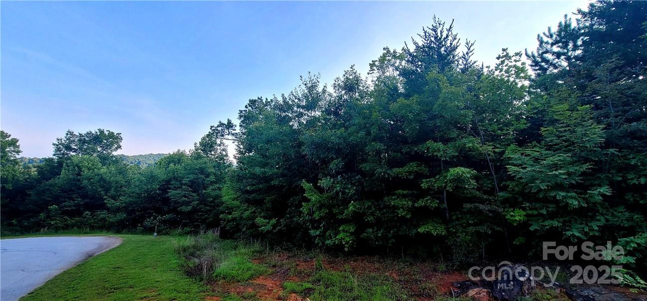 Lot 59 Bear Cliff Way - Photo 11