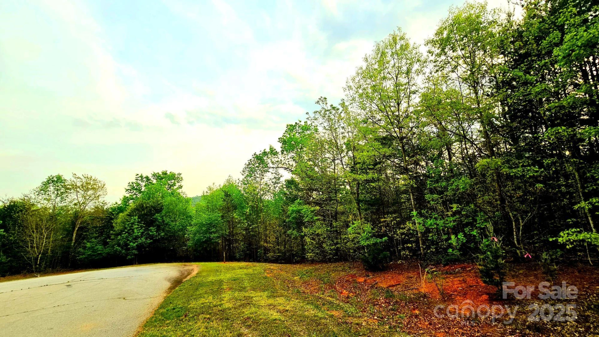 Lot 59 Bear Cliff Way - Photo 12