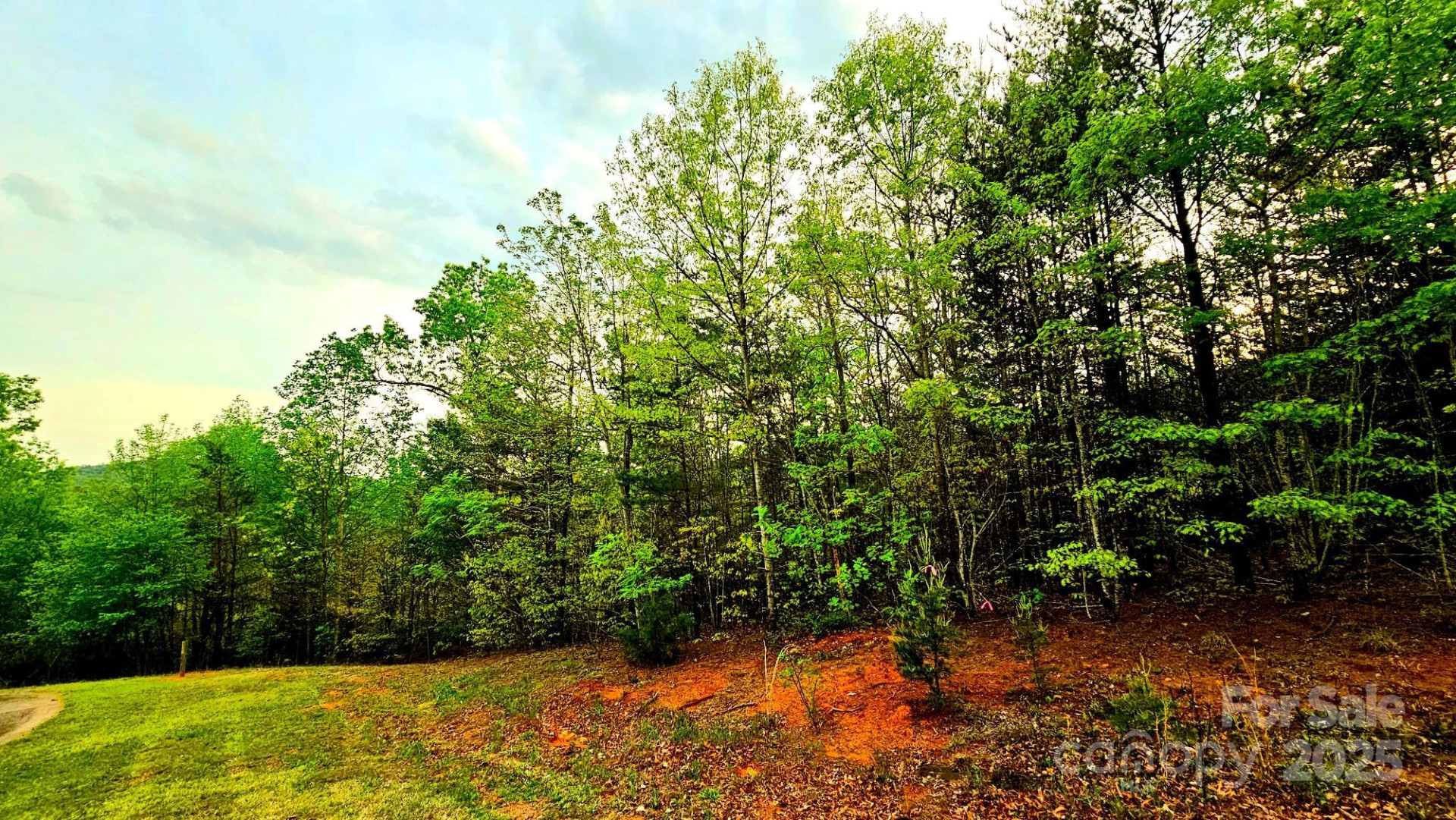 Lot 59 Bear Cliff Way - Photo 13