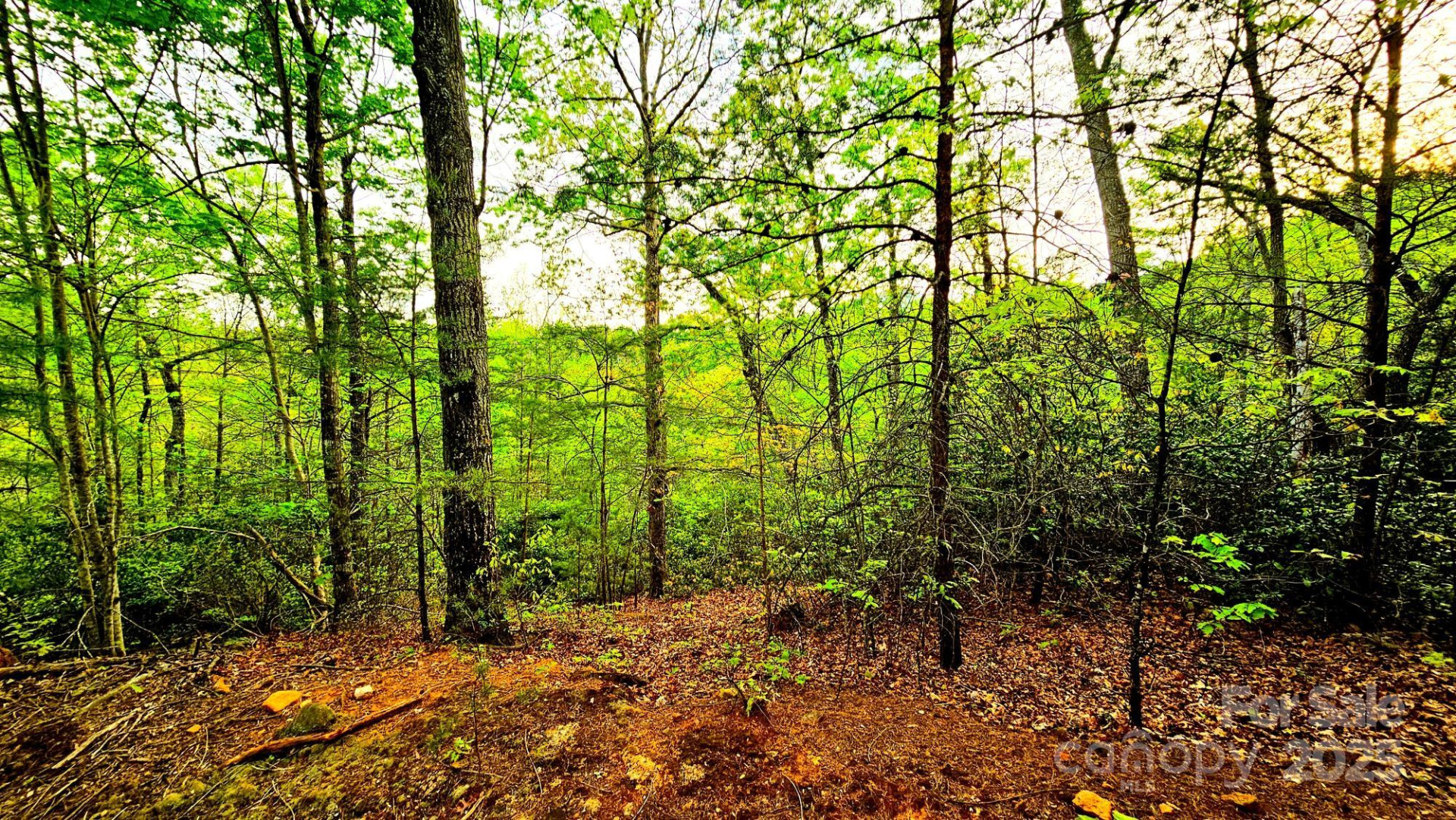 Lot 59 Bear Cliff Way - Photo 14