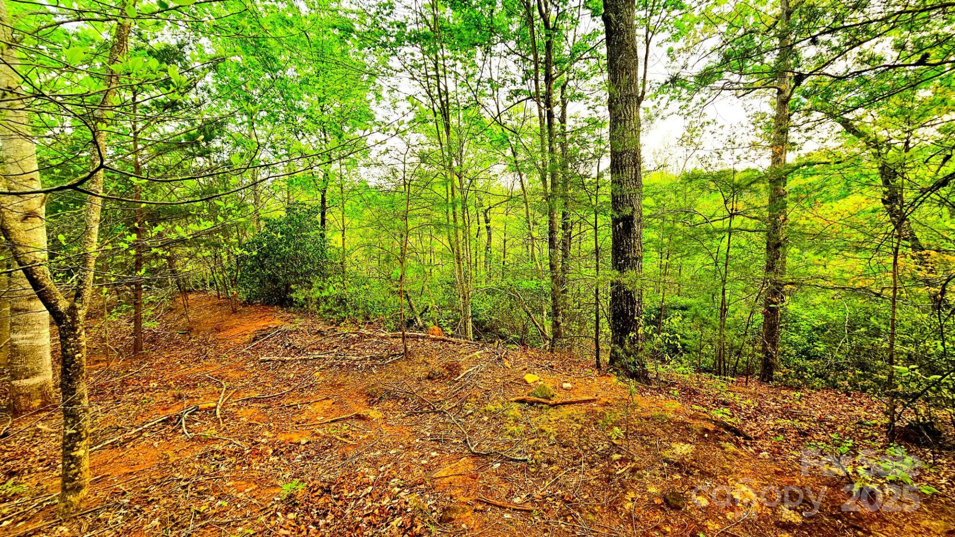 Lot 59 Bear Cliff Way - Photo 15