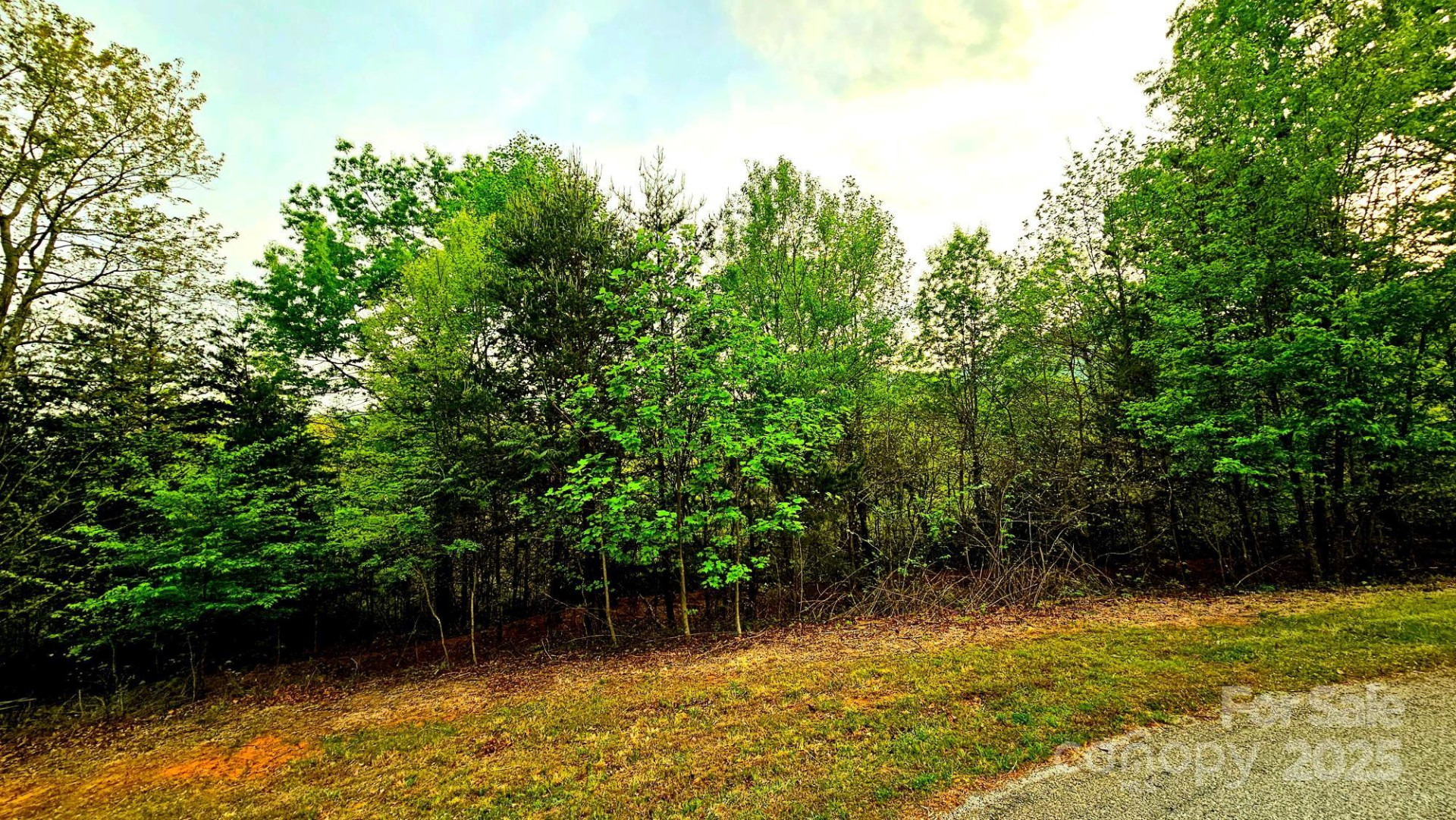 Lot 59 Bear Cliff Way - Photo 16