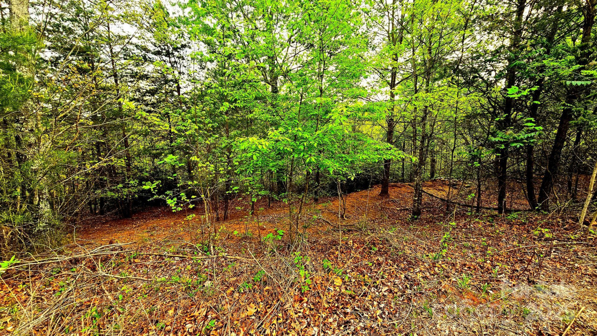 Lot 59 Bear Cliff Way - Photo 17