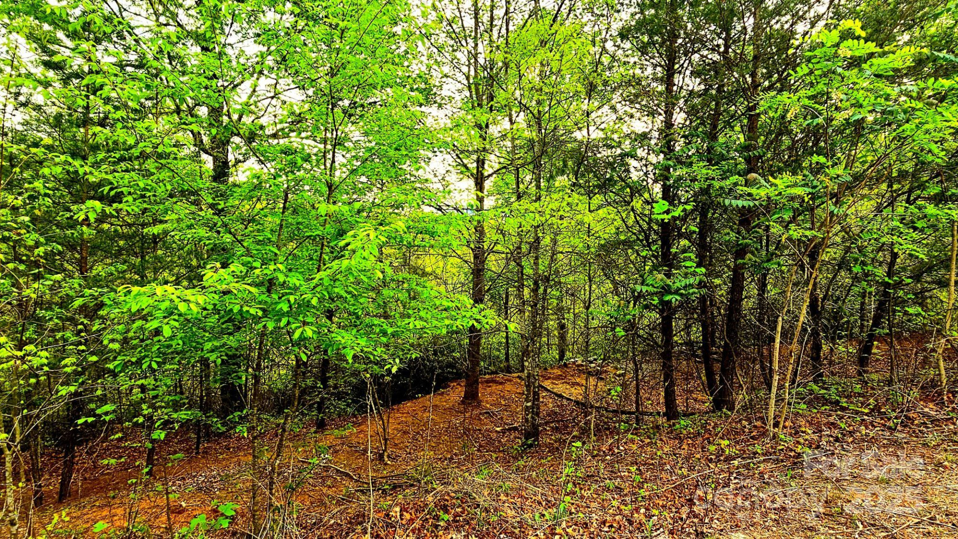 Lot 59 Bear Cliff Way - Photo 18