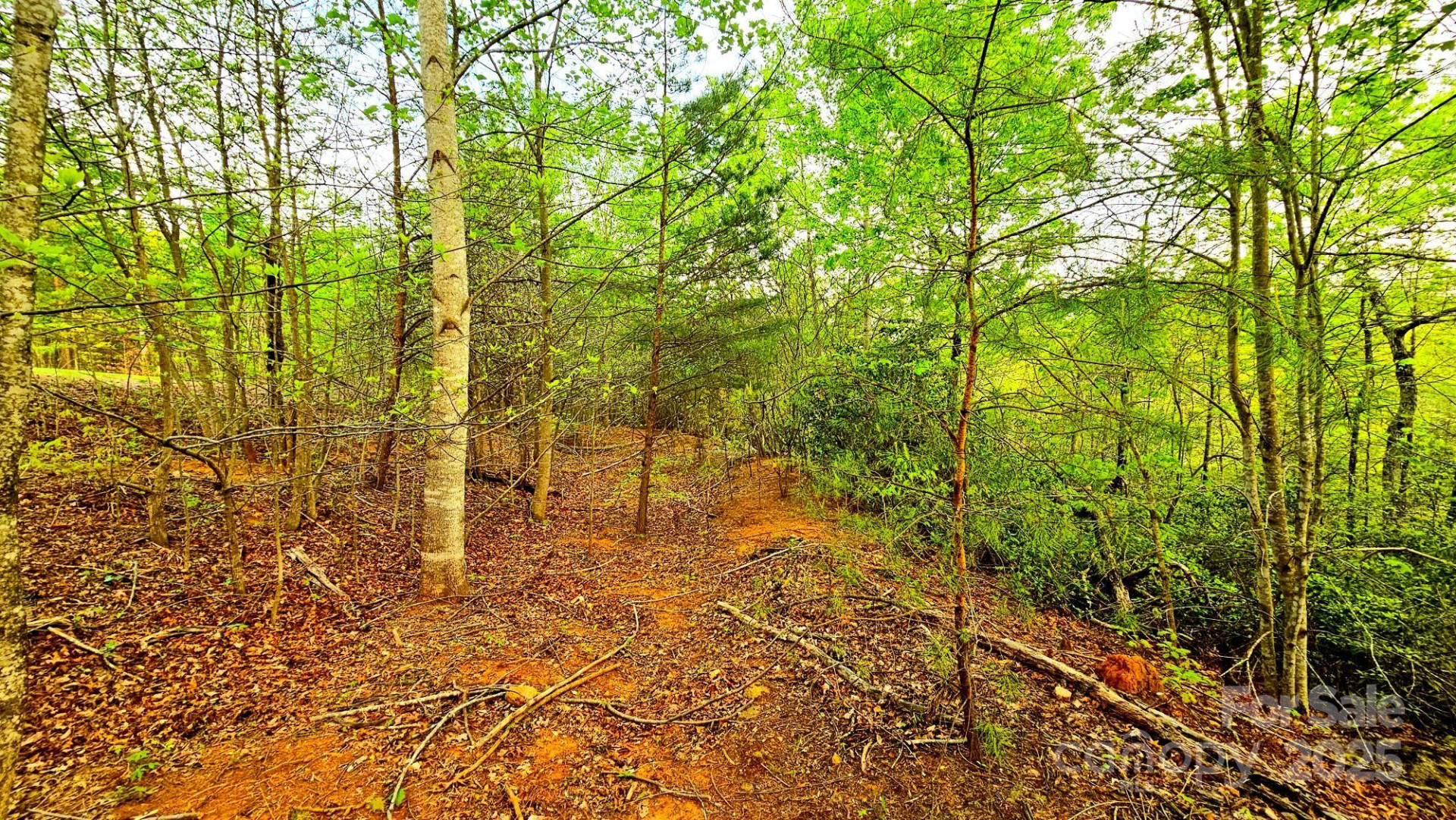 Lot 59 Bear Cliff Way - Photo 19
