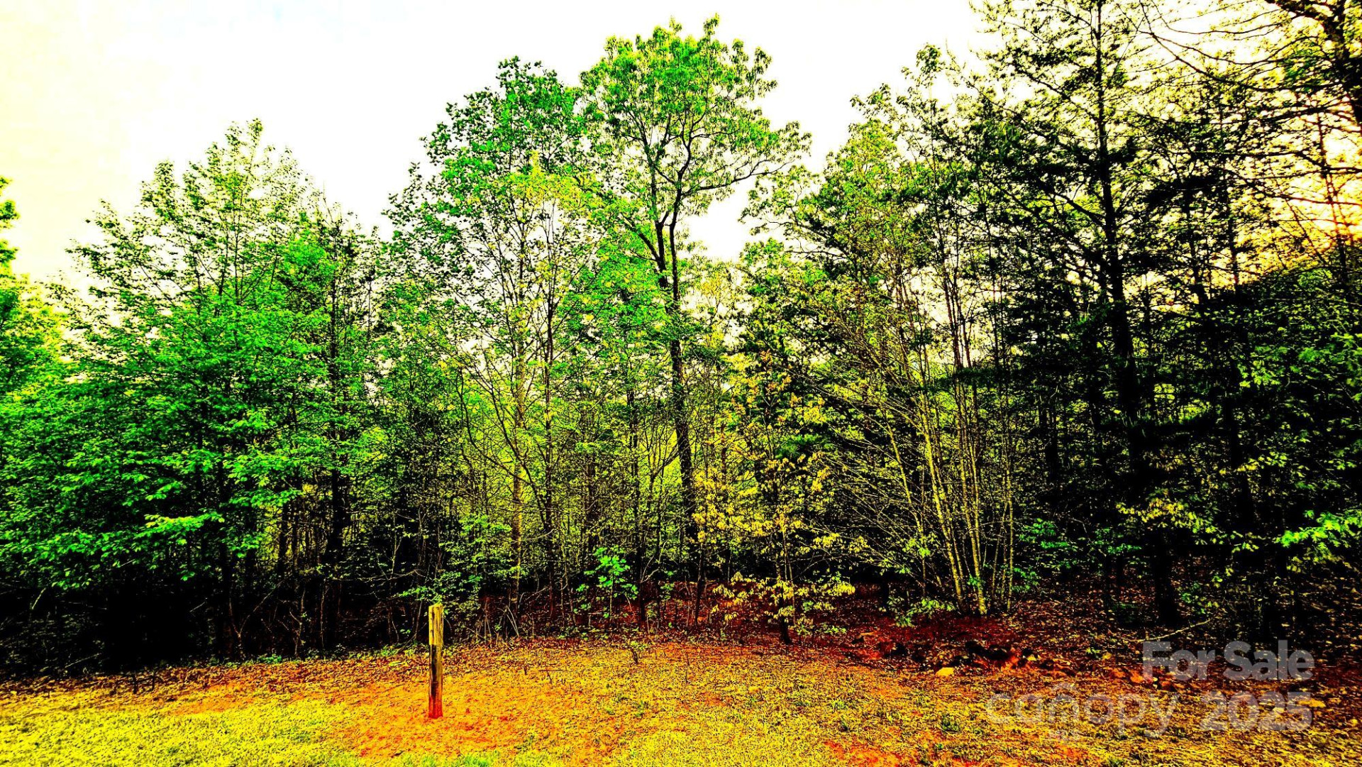 Lot 59 Bear Cliff Way - Photo 20