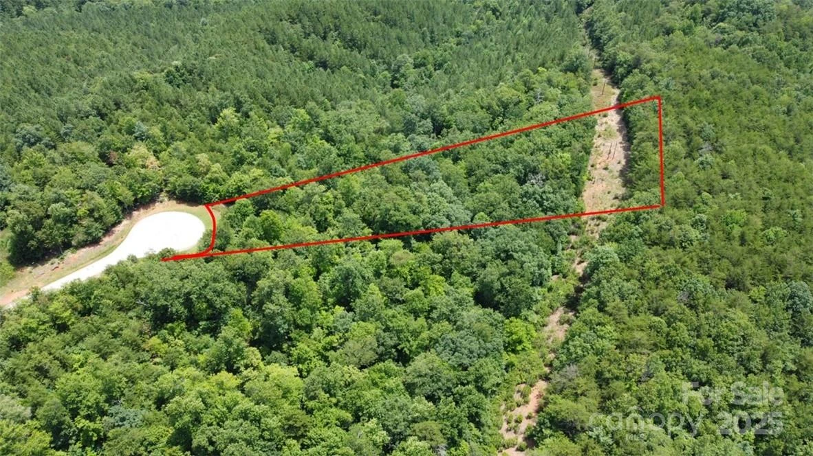 Lot 59 Bear Cliff Way - Photo 3