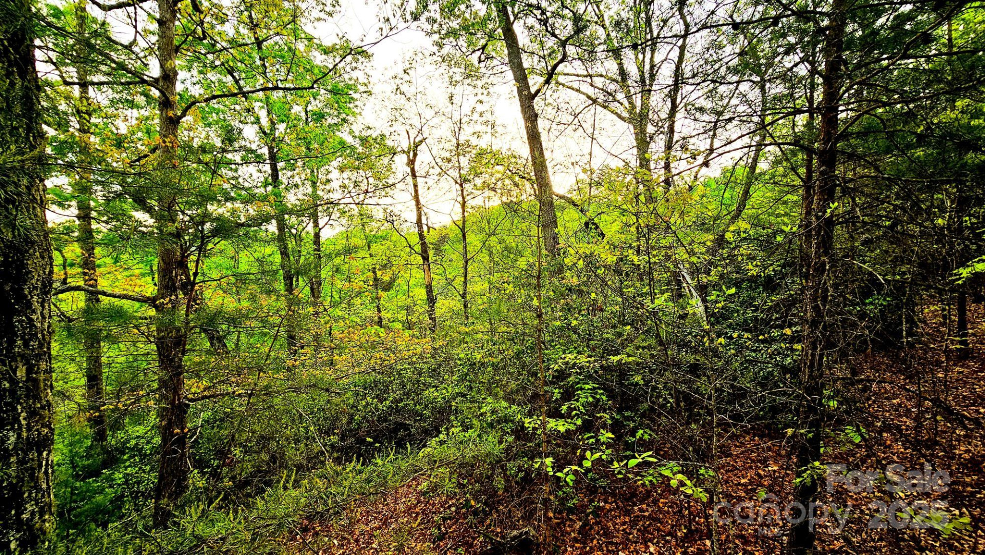 Lot 59 Bear Cliff Way - Photo 21