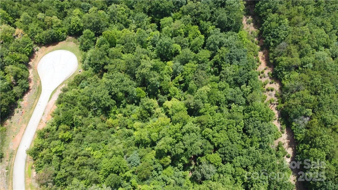 Lot 59 Bear Cliff Way - Photo 22