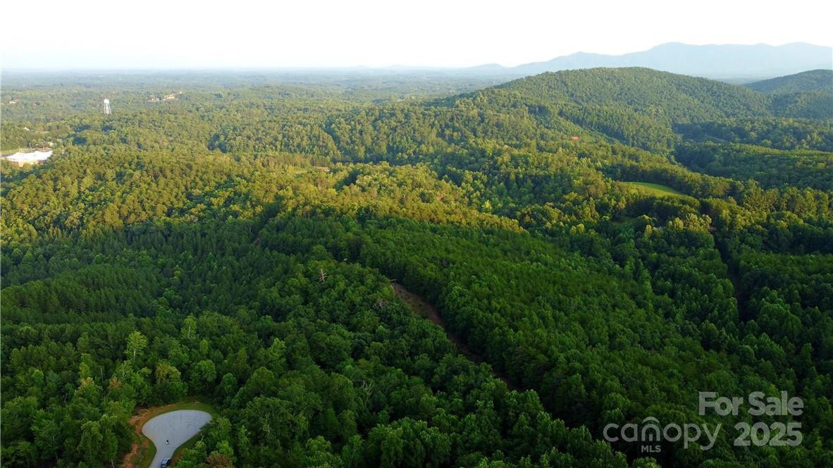 Lot 59 Bear Cliff Way - Photo 23