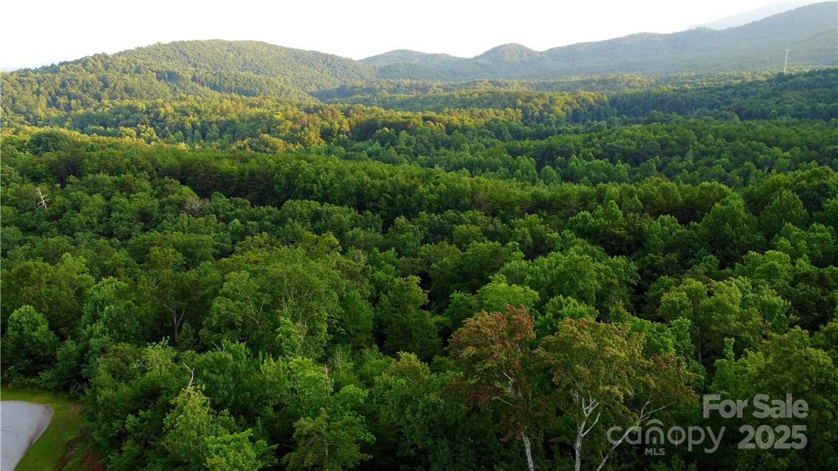Lot 59 Bear Cliff Way - Photo 24