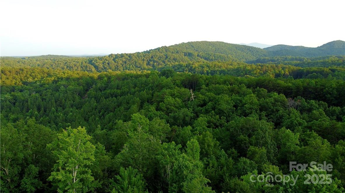 Lot 59 Bear Cliff Way - Photo 25