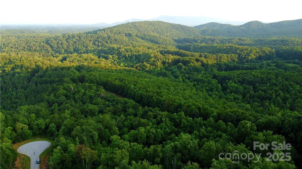 Lot 59 Bear Cliff Way - Photo 26