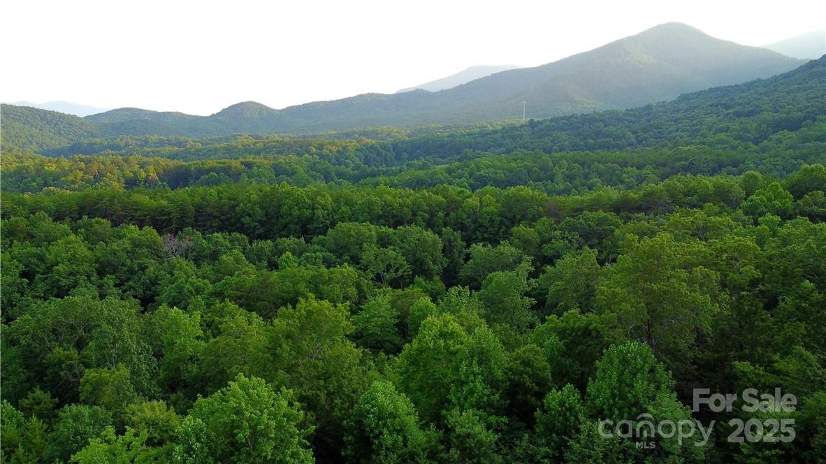 Lot 59 Bear Cliff Way - Photo 27