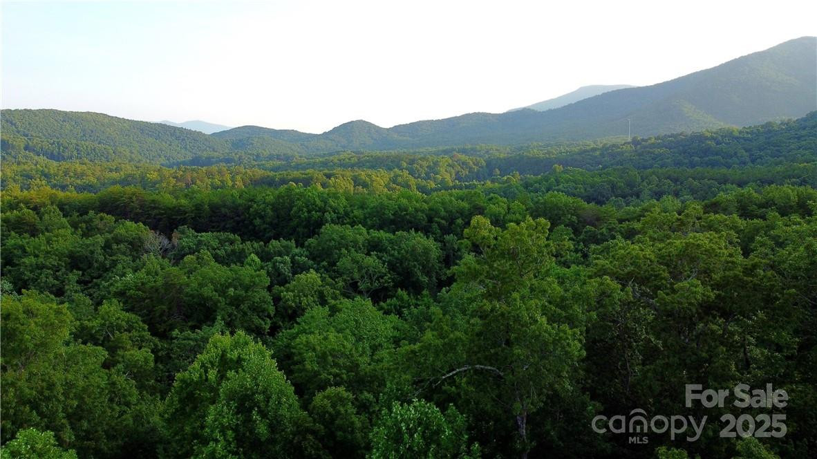 Lot 59 Bear Cliff Way - Photo 28