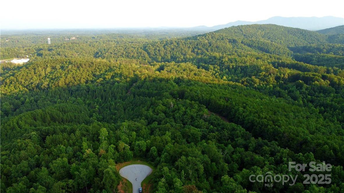 Lot 59 Bear Cliff Way - Photo 29