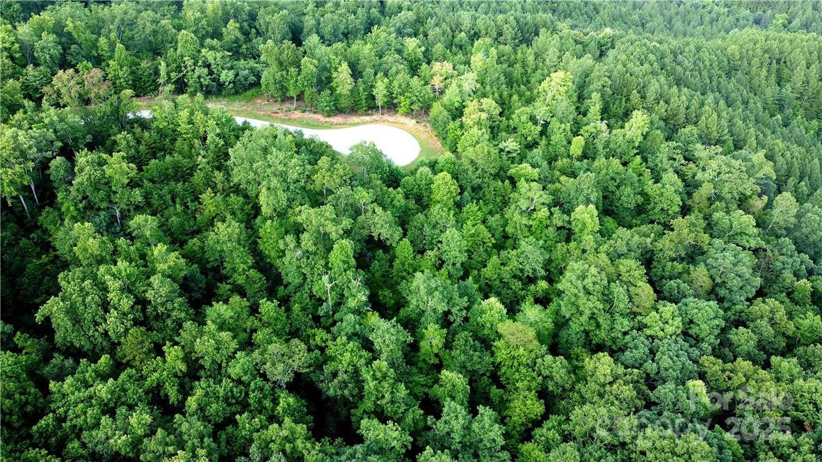 Lot 59 Bear Cliff Way - Photo 30