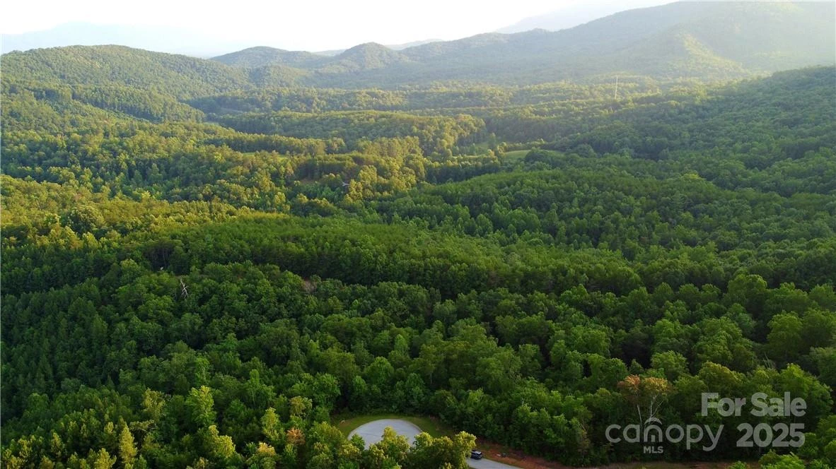 Lot 59 Bear Cliff Way - Photo 4