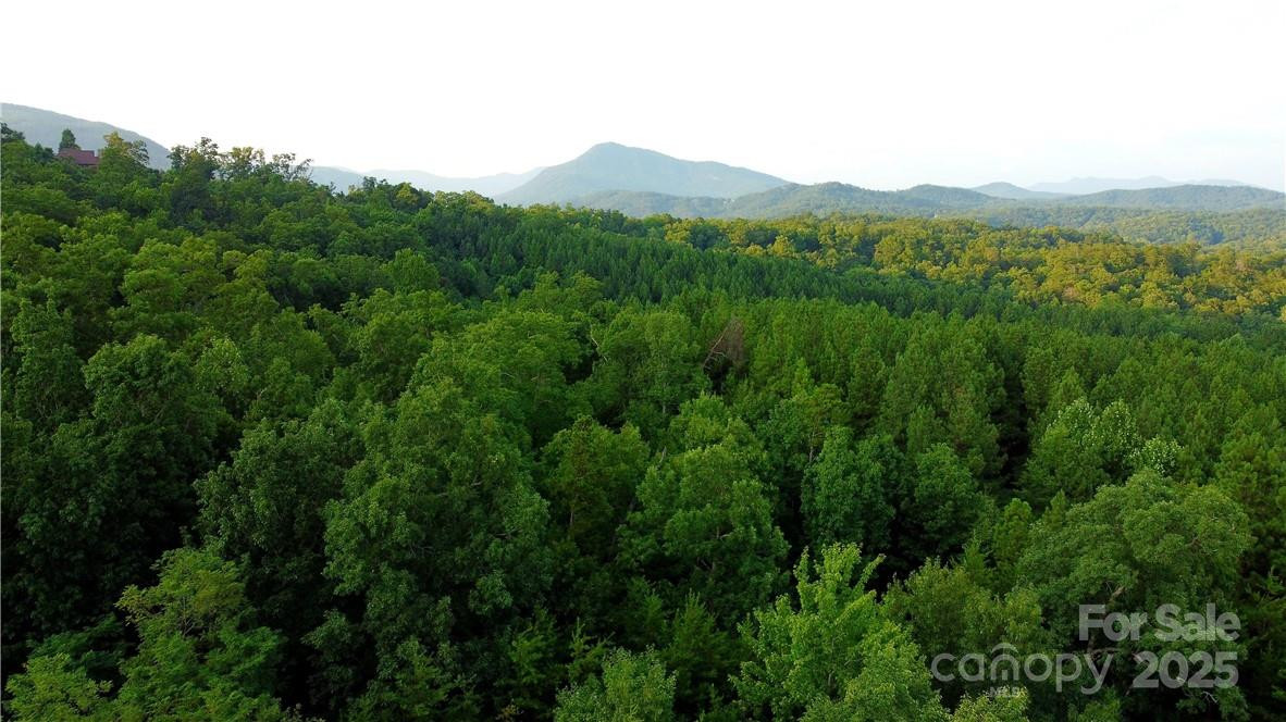 Lot 59 Bear Cliff Way - Photo 31