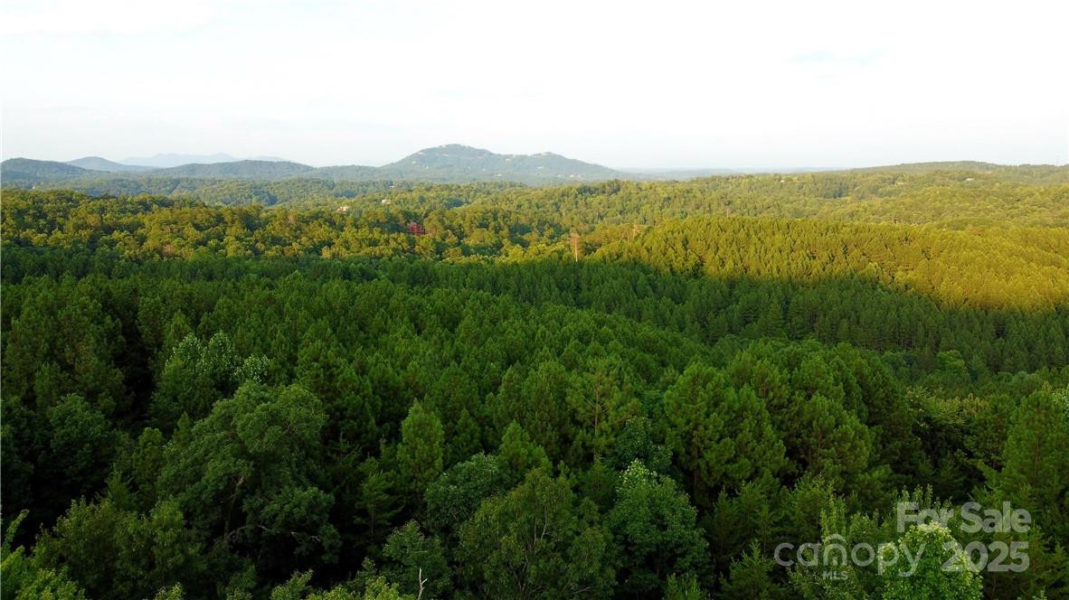 Lot 59 Bear Cliff Way - Photo 32