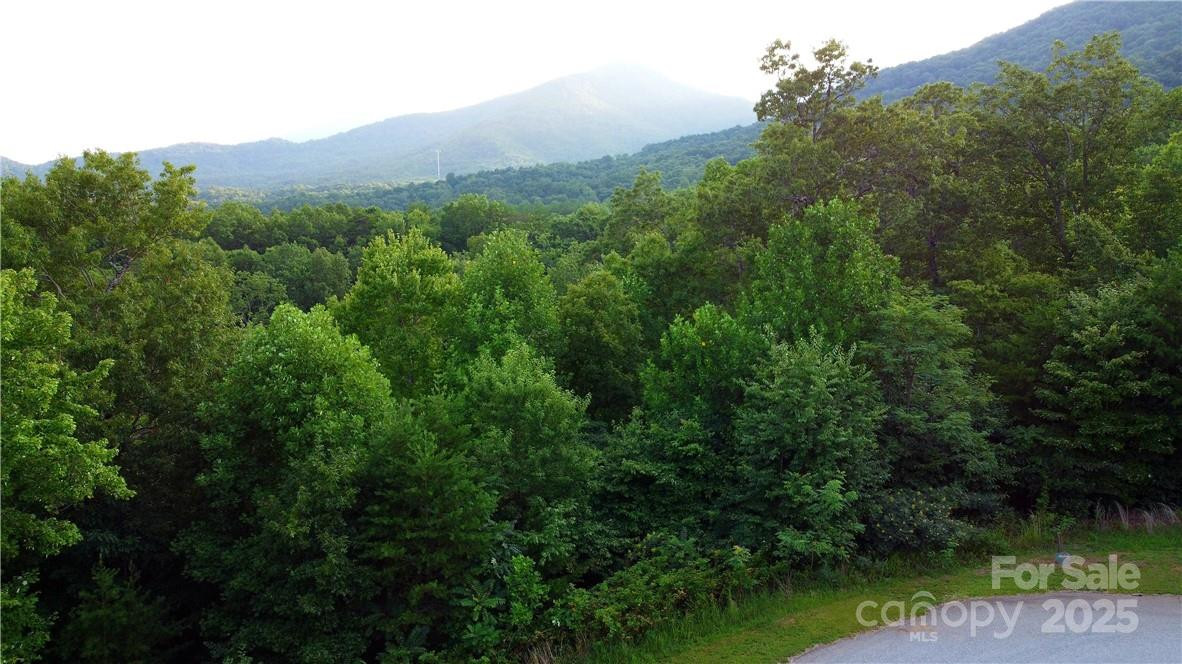 Lot 59 Bear Cliff Way - Photo 33