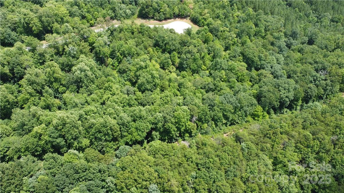 Lot 59 Bear Cliff Way - Photo 34