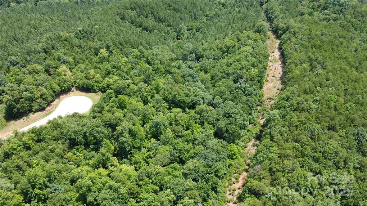 Lot 59 Bear Cliff Way - Photo 35