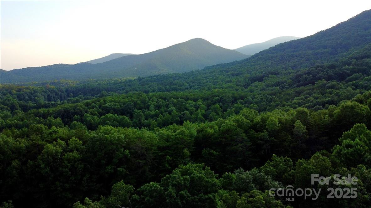 Lot 59 Bear Cliff Way - Photo 36