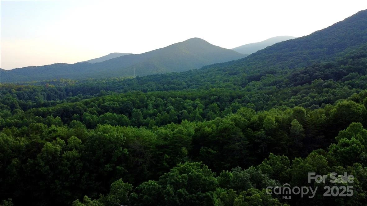 Lot 59 Bear Cliff Way - Photo 36