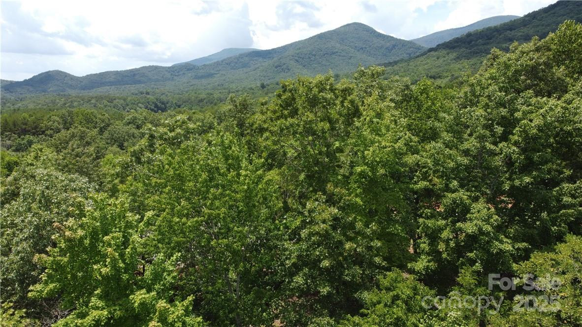 Lot 59 Bear Cliff Way - Photo 37