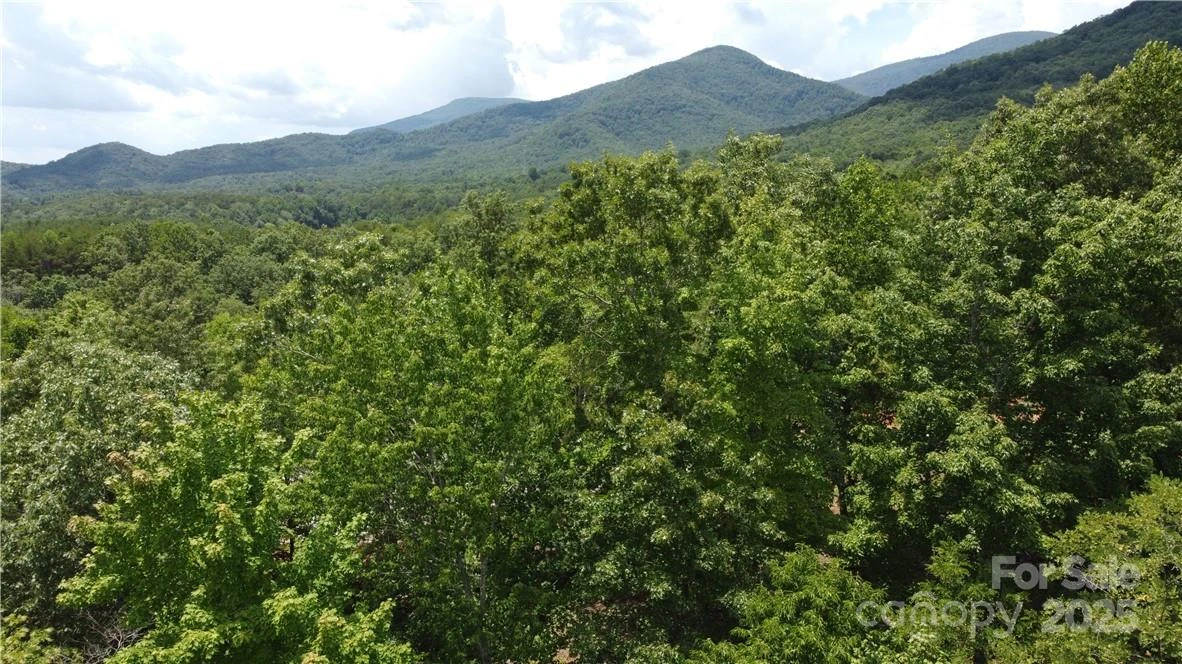 Lot 59 Bear Cliff Way - Photo 37