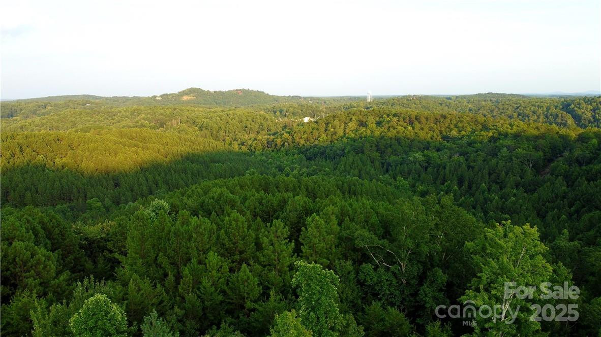 Lot 59 Bear Cliff Way - Photo 38
