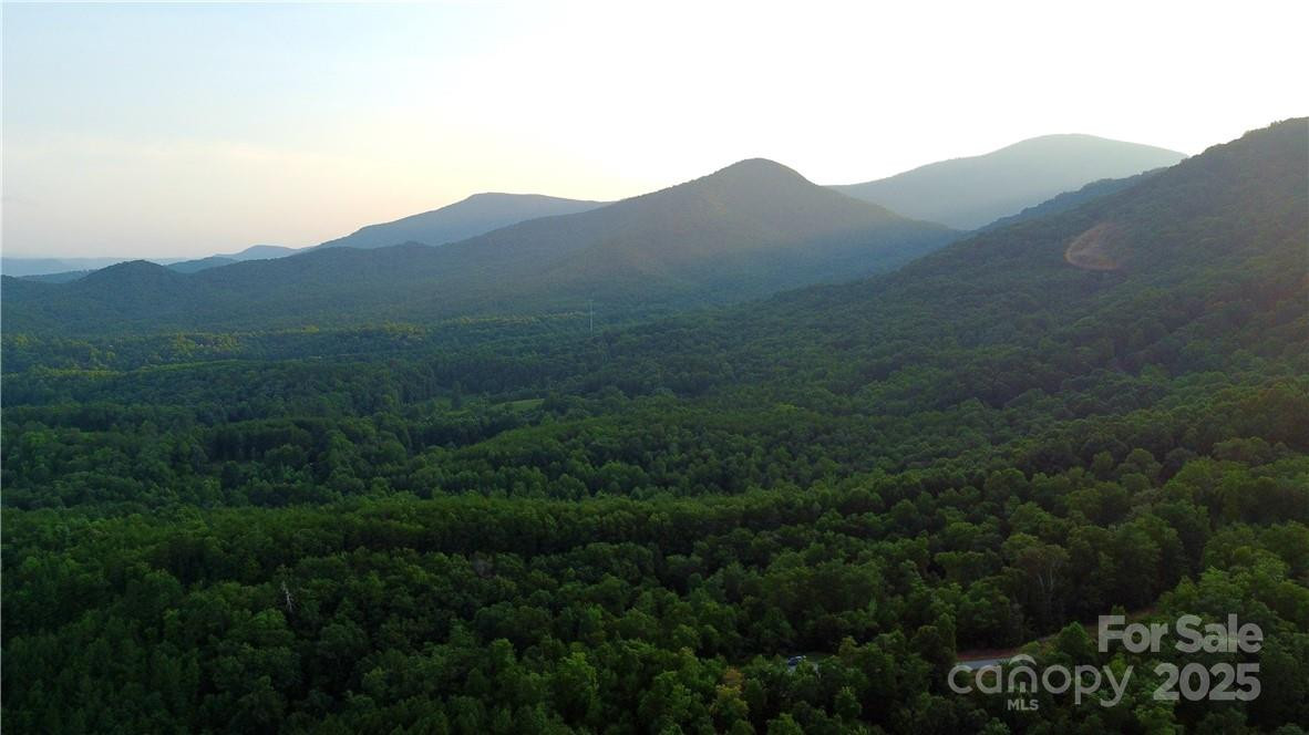 Lot 59 Bear Cliff Way - Photo 39