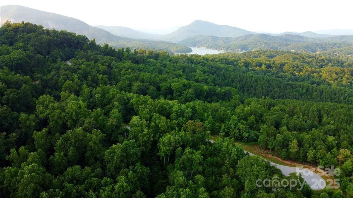 Lot 59 Bear Cliff Way - Photo 40