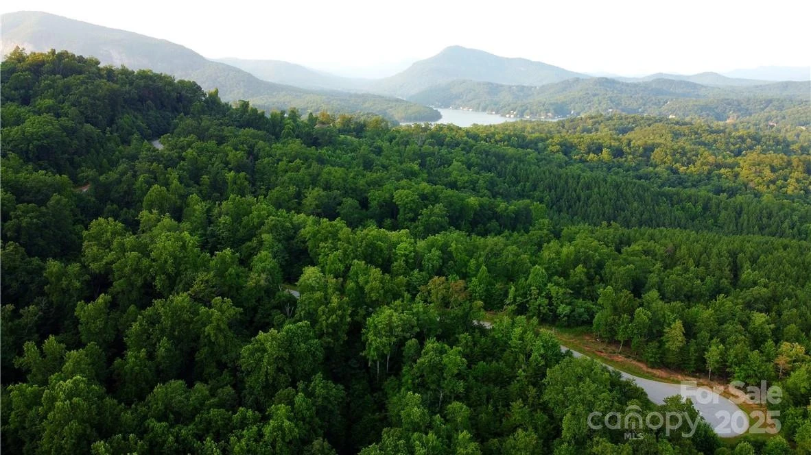 Lot 59 Bear Cliff Way - Photo 40