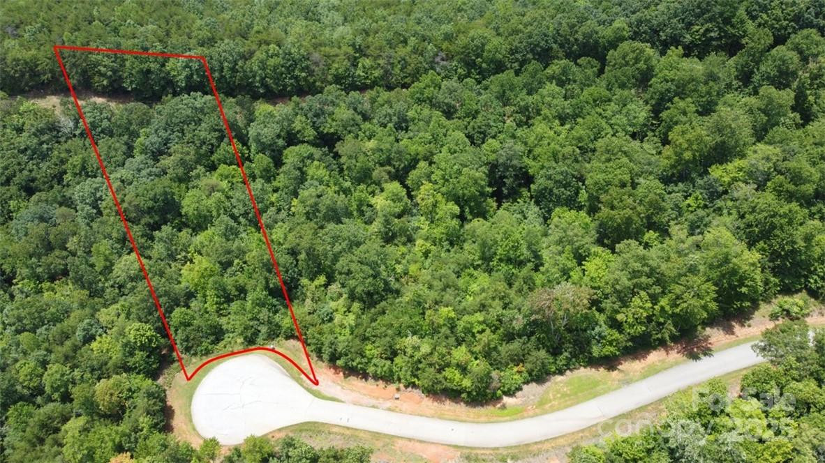 Lot 59 Bear Cliff Way - Photo 5