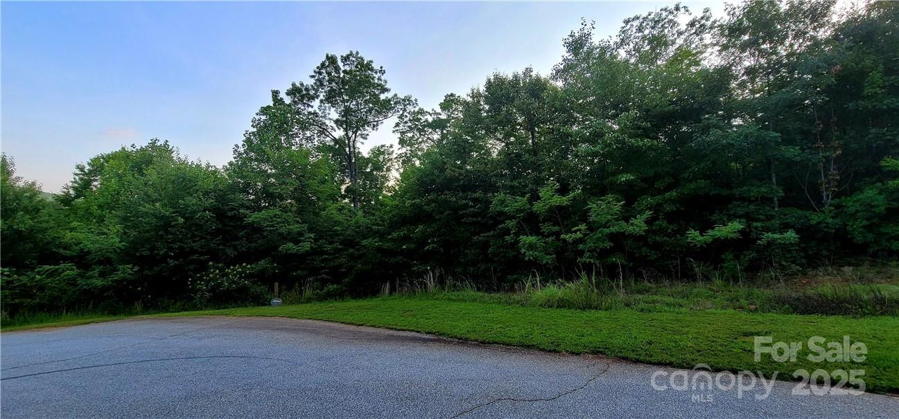 Lot 59 Bear Cliff Way - Photo 41