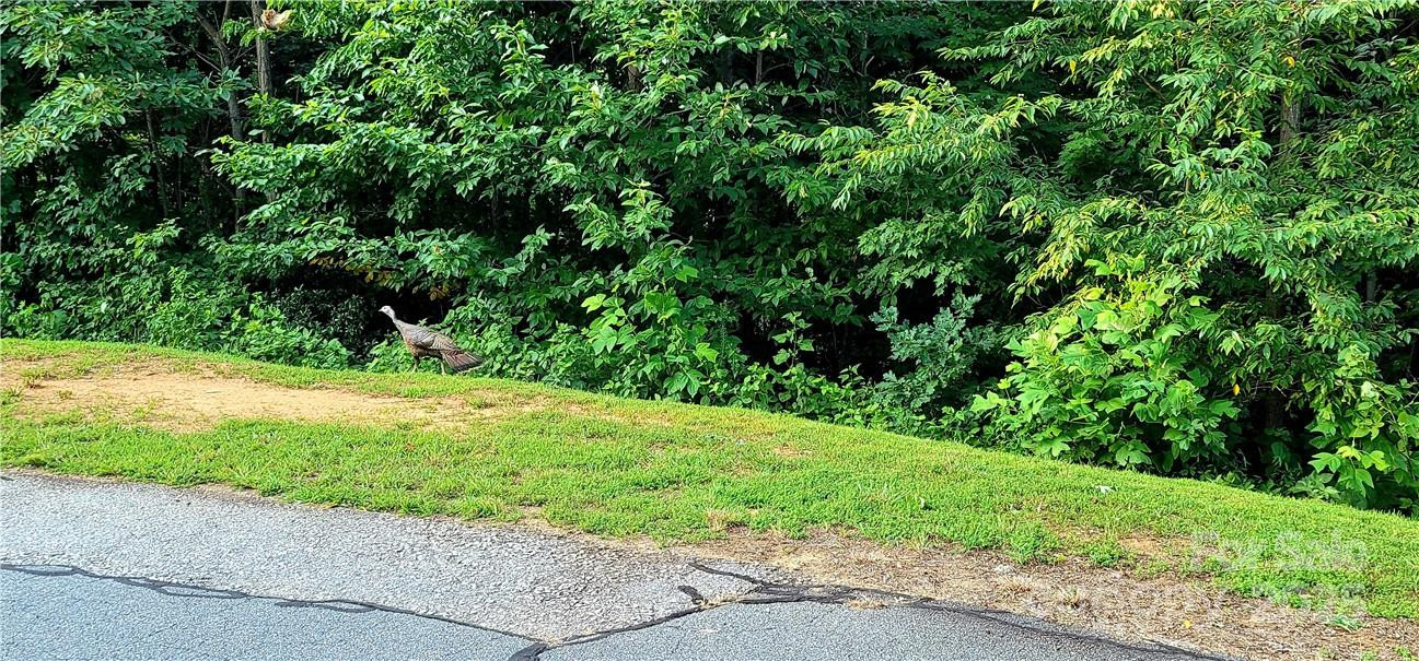 Lot 59 Bear Cliff Way - Photo 43