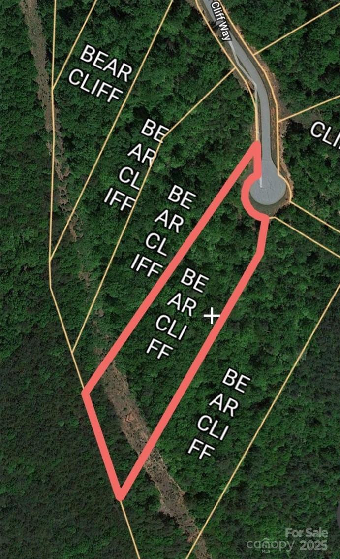 Lot 59 Bear Cliff Way - Photo 6