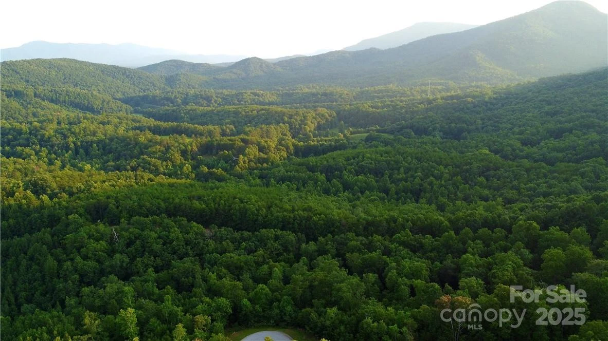 Lot 59 Bear Cliff Way - Photo 7
