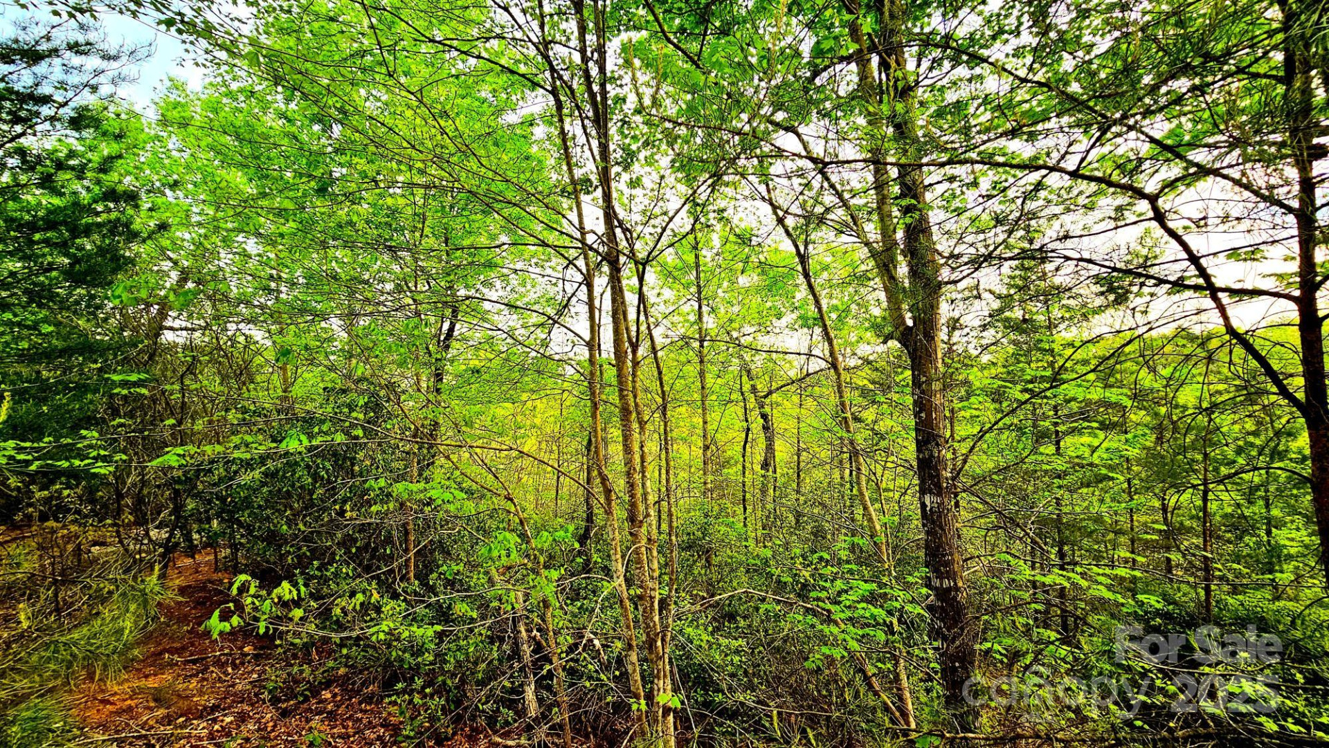 Lot 59 Bear Cliff Way - Photo 9