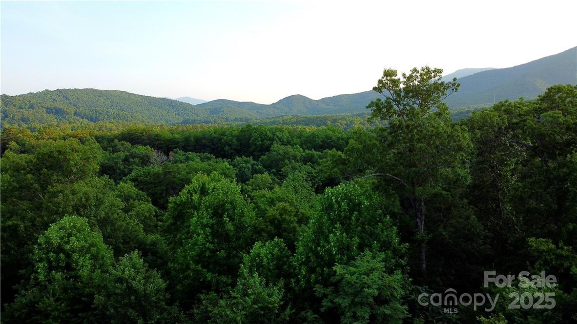 Lot 59 Bear Cliff Way - Photo 10