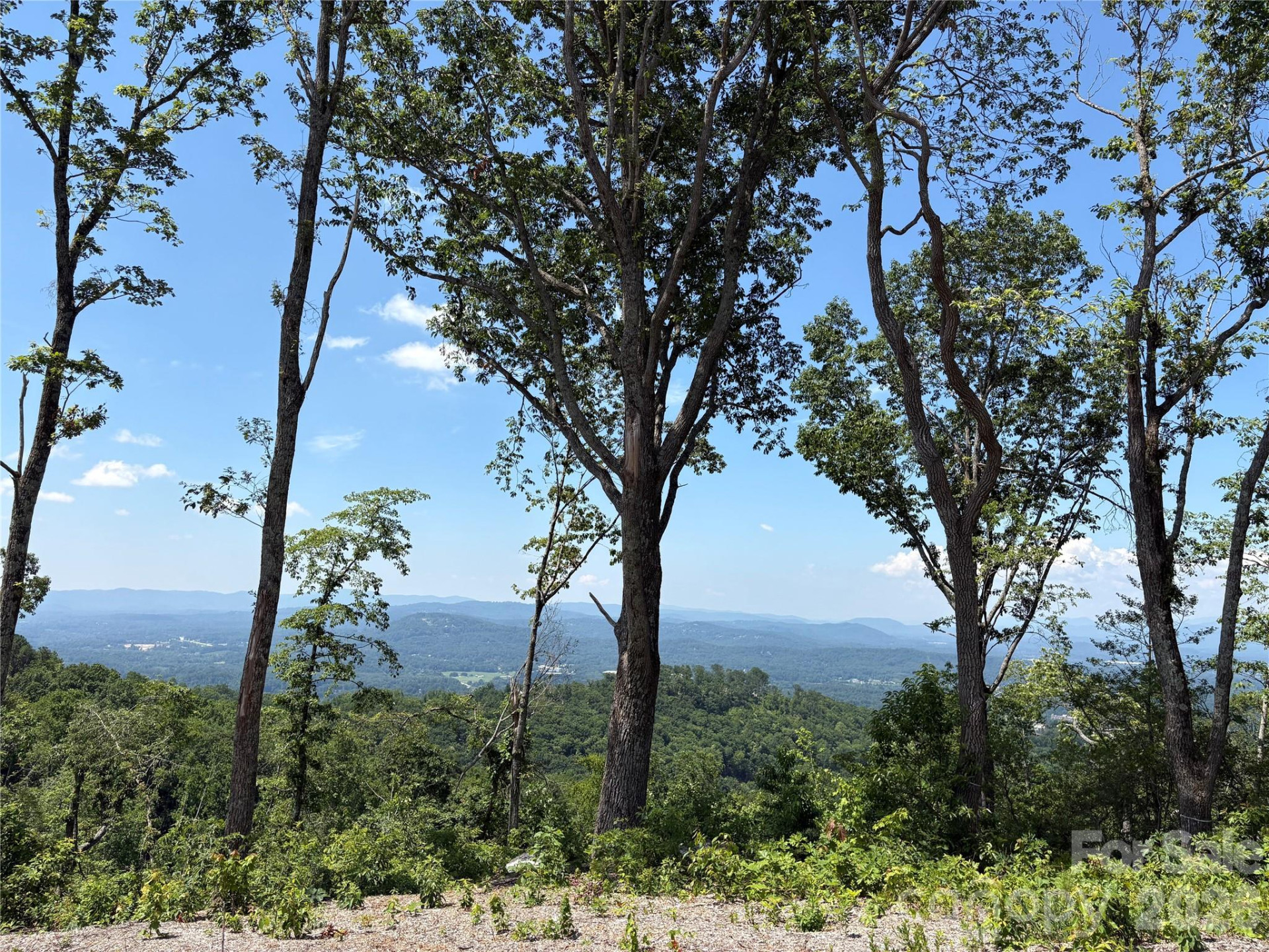 Lot 50 Mountain Grove Lane #50