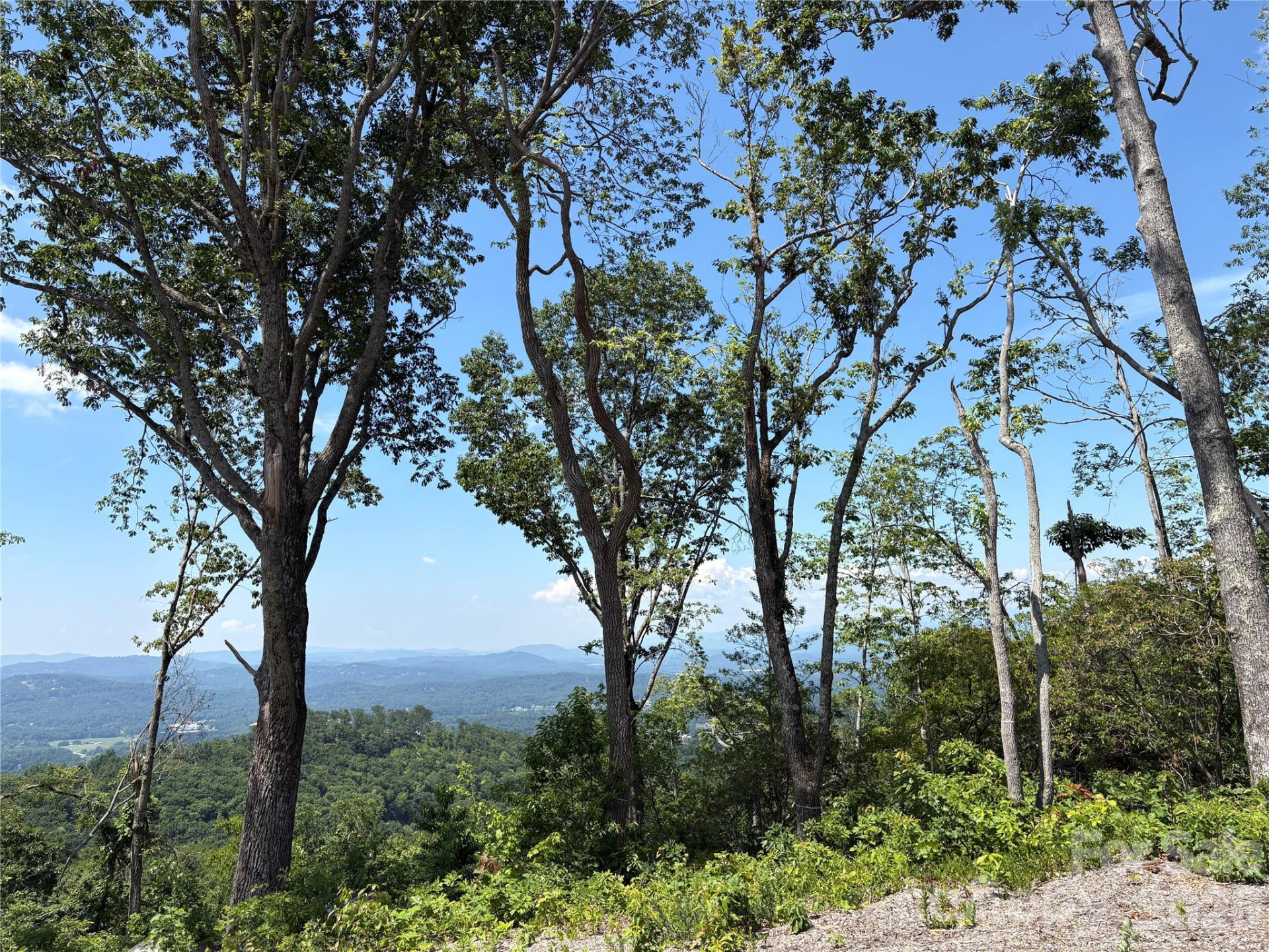 Lot 50 Mountain Grove Lane #50 - Photo 2