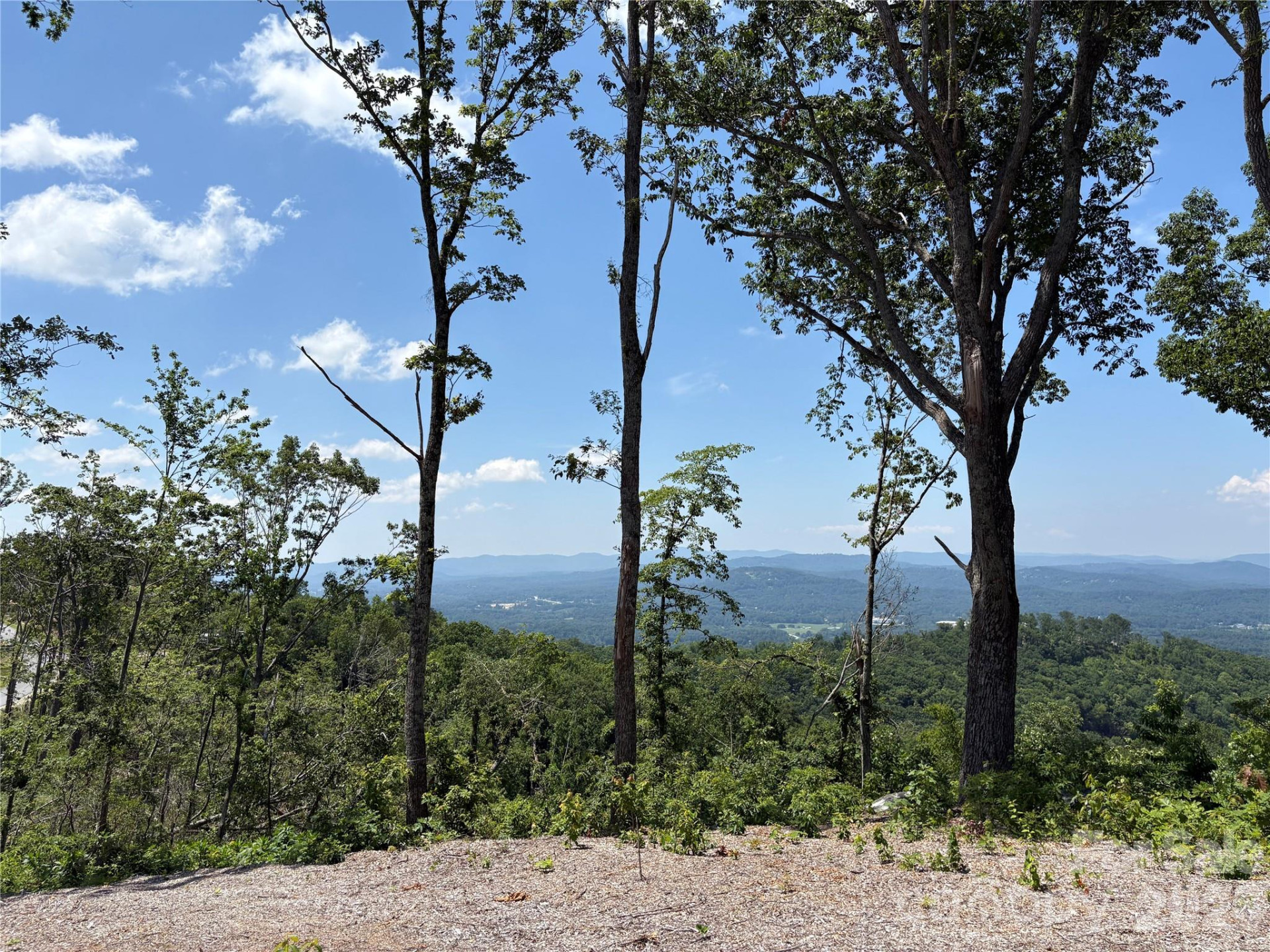 Lot 50 Mountain Grove Lane #50 - Photo 11