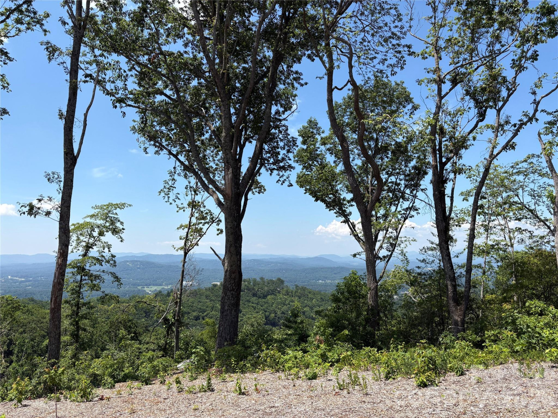 Lot 50 Mountain Grove Lane #50 - Photo 12