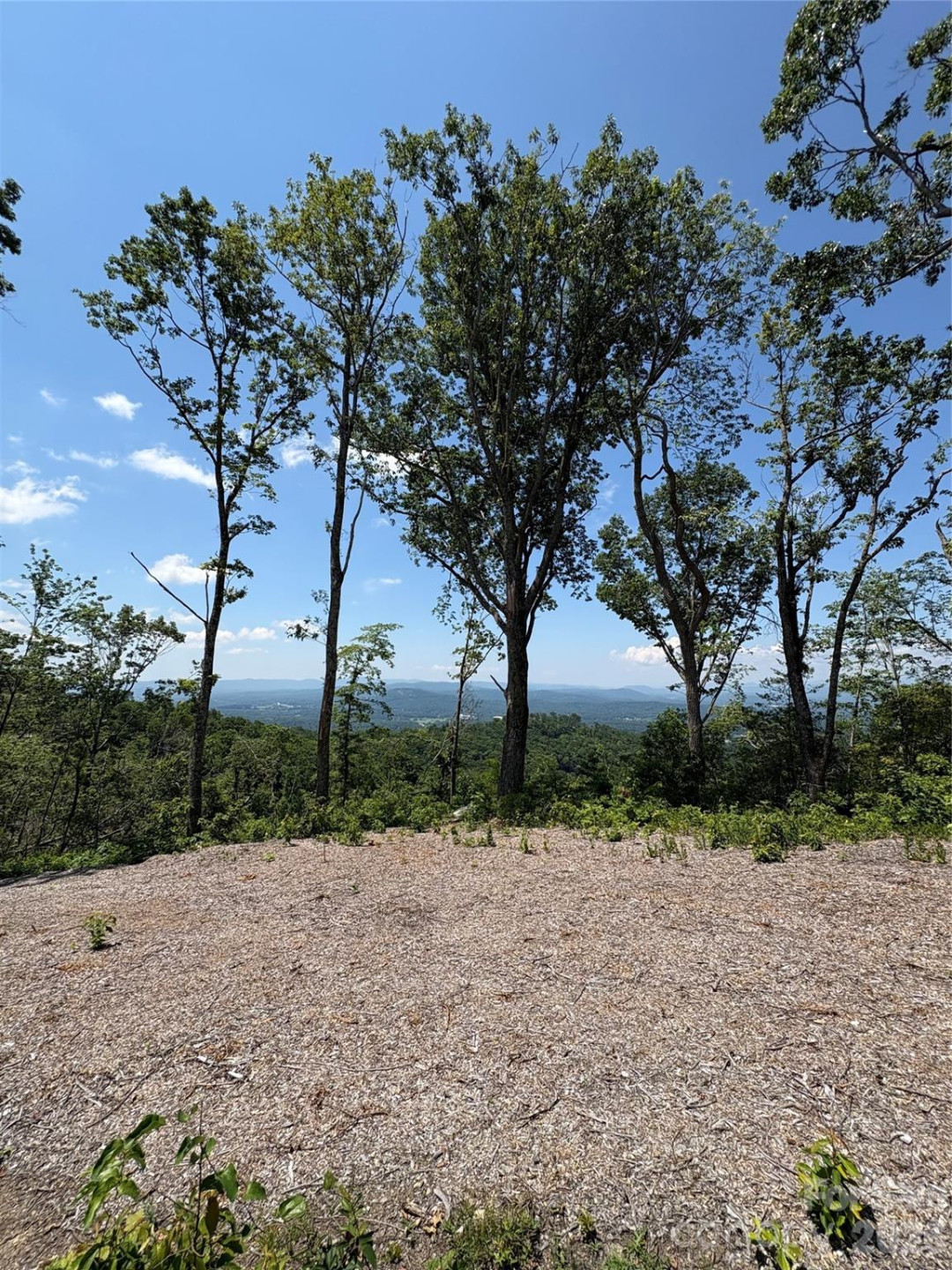 Lot 50 Mountain Grove Lane #50 - Photo 13